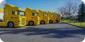 Grupo Valouro investe numa nova frota de camiões